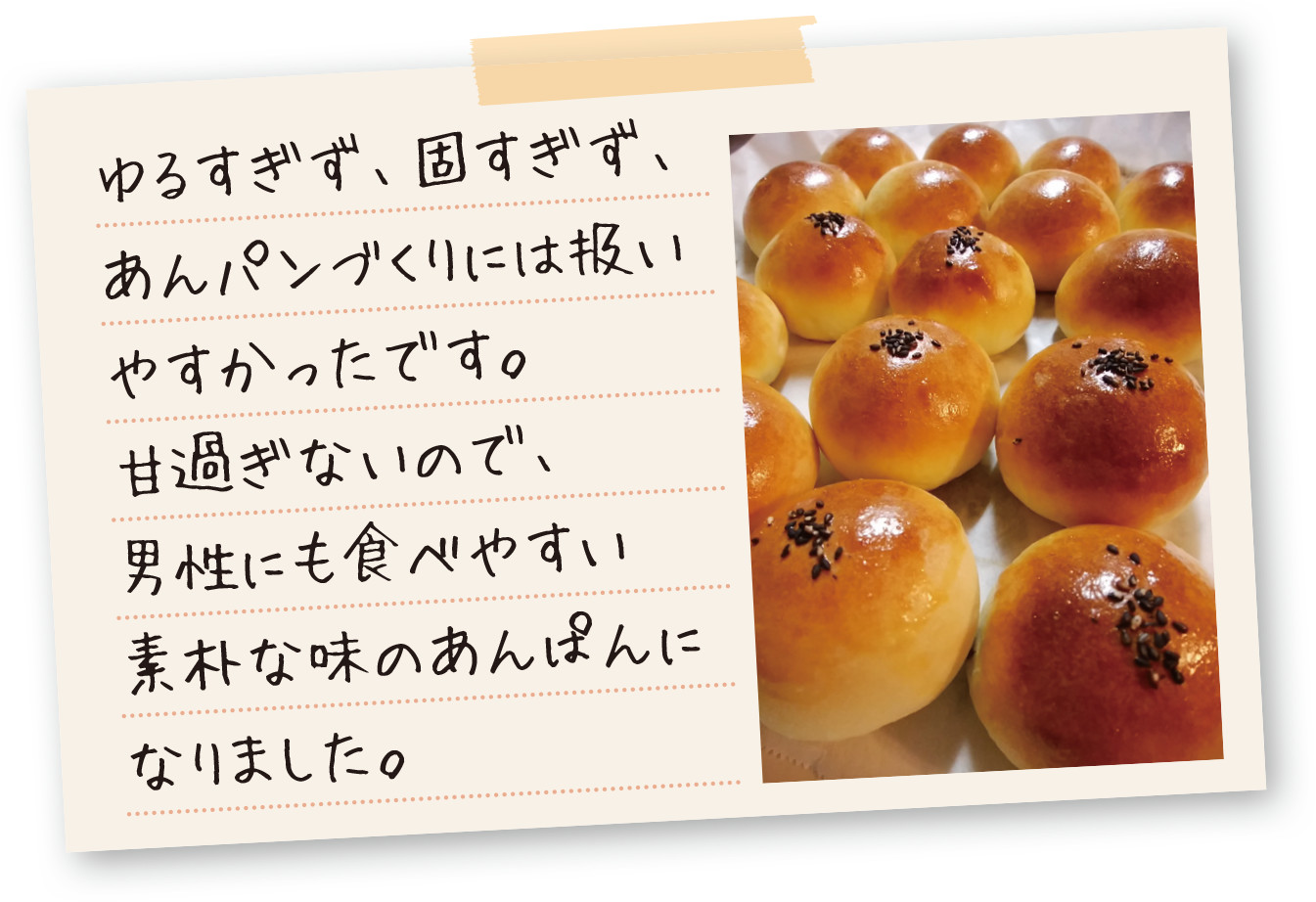 ゆるすぎず、固すぎず、あんパンづくりには扱いやすかったです。甘すぎないので、男性にも食べやすい素朴な味のあんパンになりました。