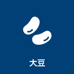 大豆